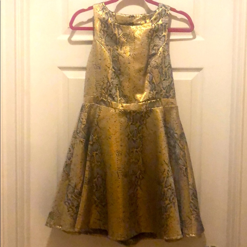 Cocktail Dress